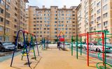 Южная звезда. Гринстрой — фото 1