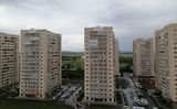 Цветы — фото 2