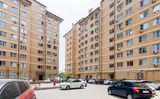 Южная звезда. Гринстрой — фото 2