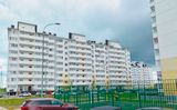 Горгиппия Морская — фото 3