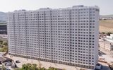 Семейный. Новостой — фото 2